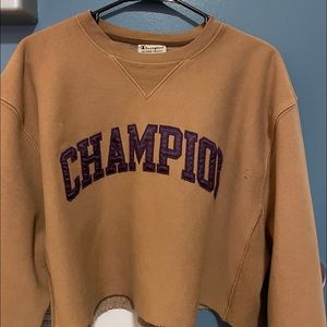 champion sweatshirt crop top